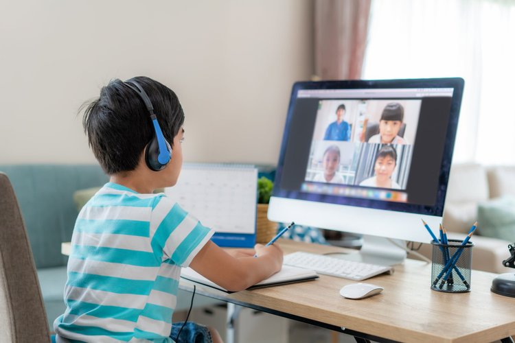 Boy student video conference e-learning with teacher and classmates on computer in living room at home.