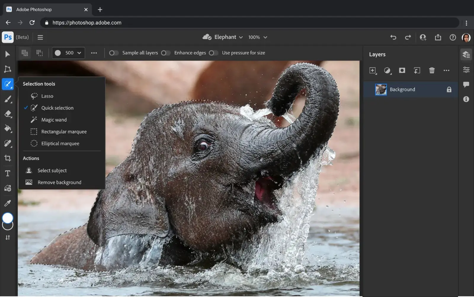 Interface web do Photoshop com a foto de um pequeno elefante que está na água