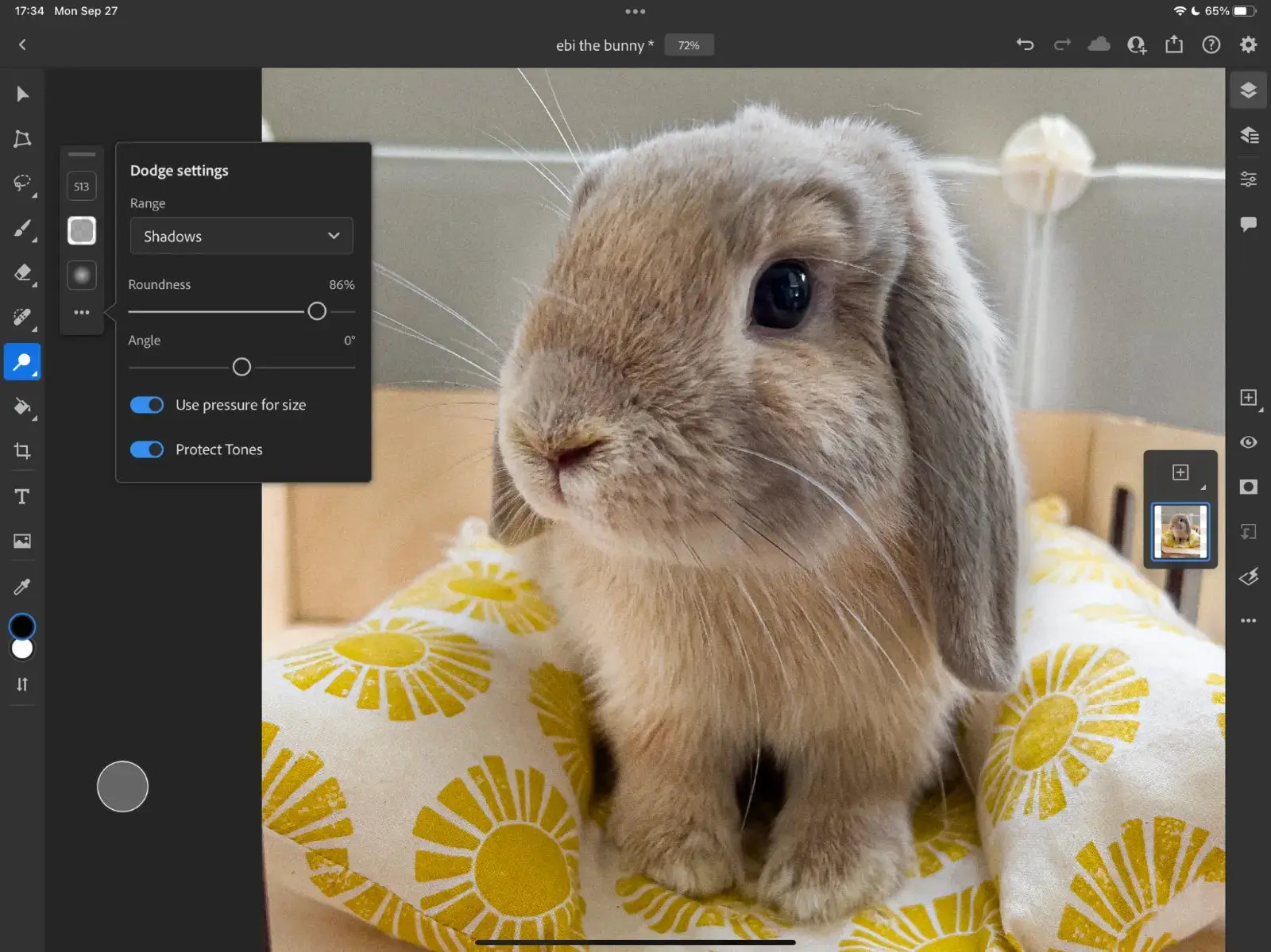 Interface do Photoshop no iPad com a foto de um coelho em uma almofada amarela