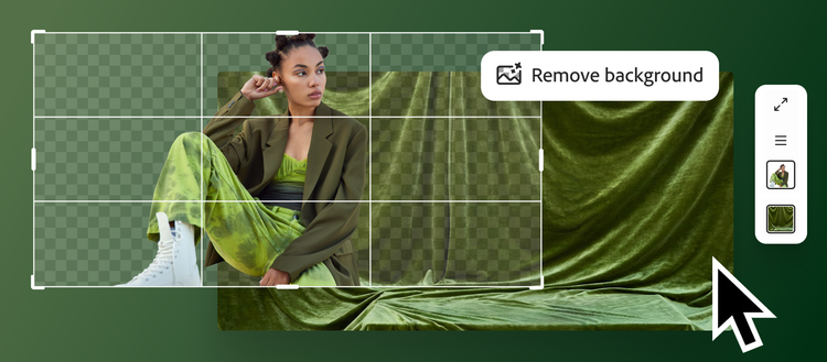 Remove Background Image created using Photoshop's new AI Assistant.