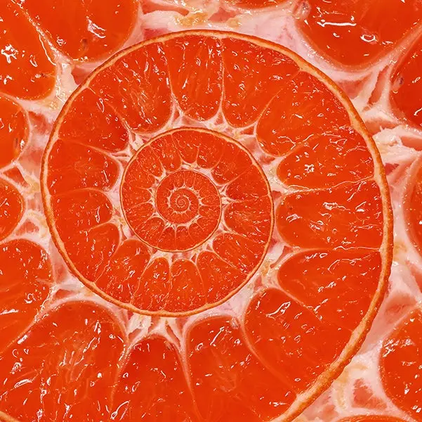 A grapefruit.