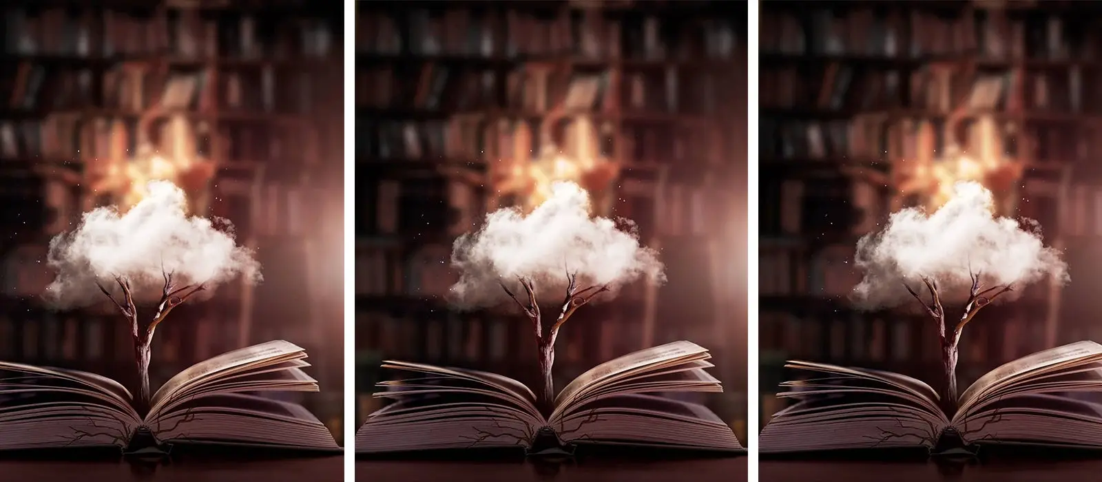 Image of 3 books with a tree coming out of them.