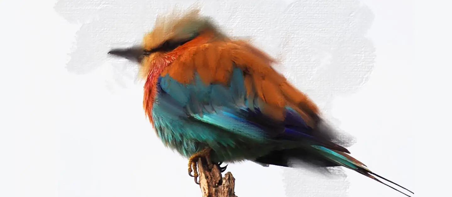 Bird created using Adobe Fresco.