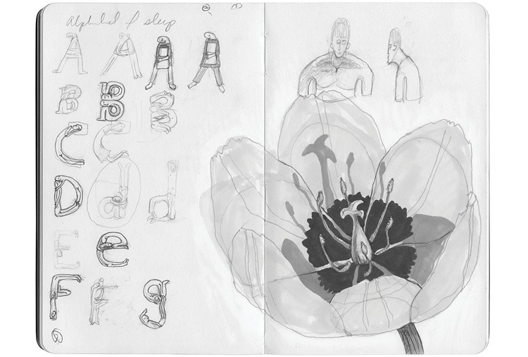 Early sketches of the alphabet series