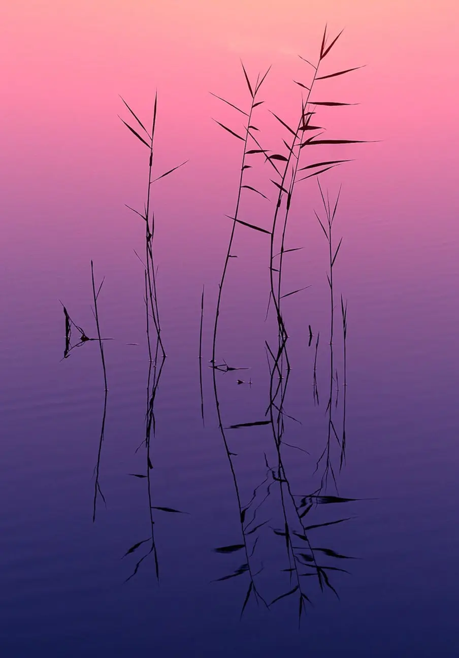 Image of a lake from pink to purple hues.