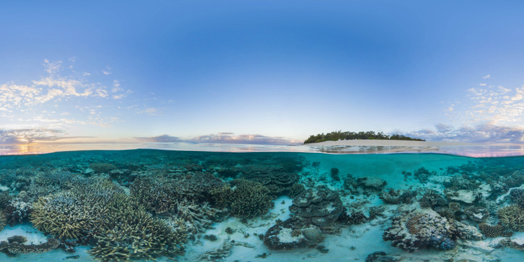 Photo of ocean scene with underwater coral in the foreground and an island in the background.
