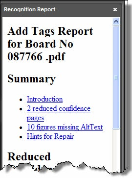 Recognition Report screenshot