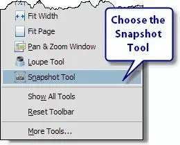 Choose Snapshot tool from the list