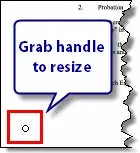 Resize using the image handles in PowerPoint