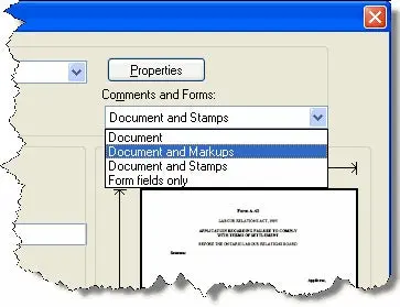 Print Window showing Document and Markups print setting