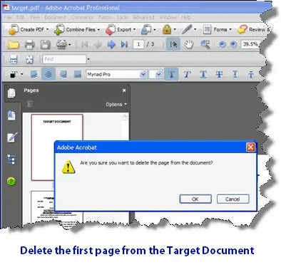 Delete the first page in the Target document as a last step.