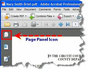 Find the Pages Panel icon