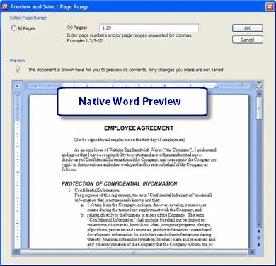 Native Word Preview