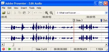 Edit Audio Window
