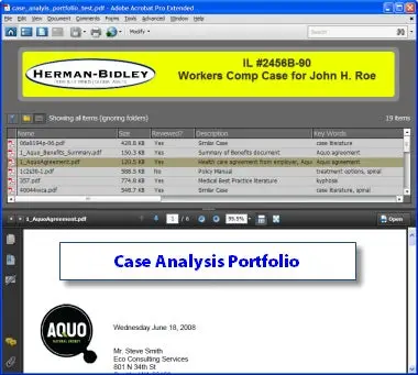 A screenshot of a Case Analysis Portfolio