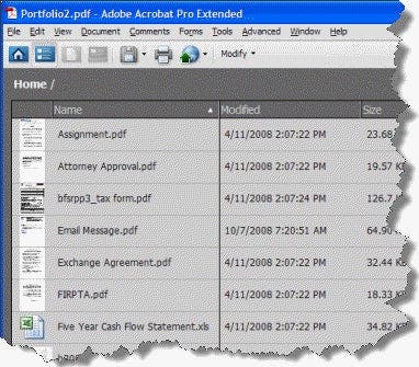List View of a PDF Portfolio
