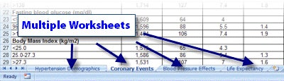 Excel file with multiple worksheets