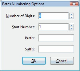 Bates Numbering Options window