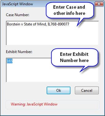 Fill in this window with case and exhibit number info