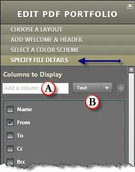 Specify file details panel of a PDF Portfolio