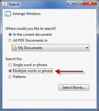 Search and Redact window