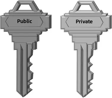 Public and Private Keys