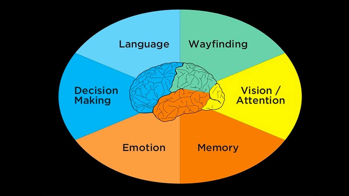 The Six Minds of UX Design