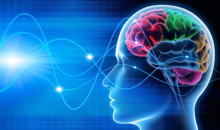 Strategist: Neuroscience Helps Marketers Read Consumers’ Minds