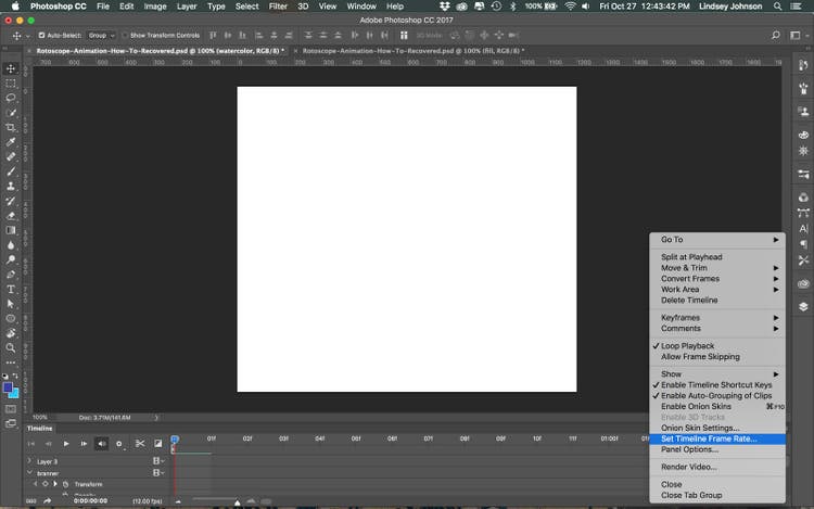 Image shows how to set frame rate.