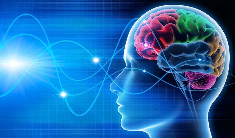 4 Neuroscience Concepts That Can Enhance Your Ad Campaigns