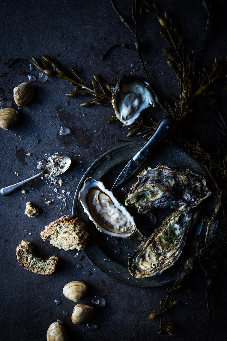 a photo of oysters by joann pai