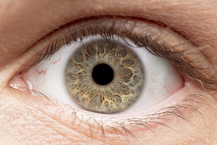Closeup of an eye.