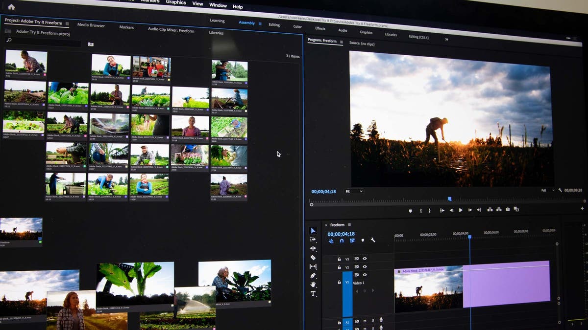 Explore the Freeform Project Panel in Premiere Pro