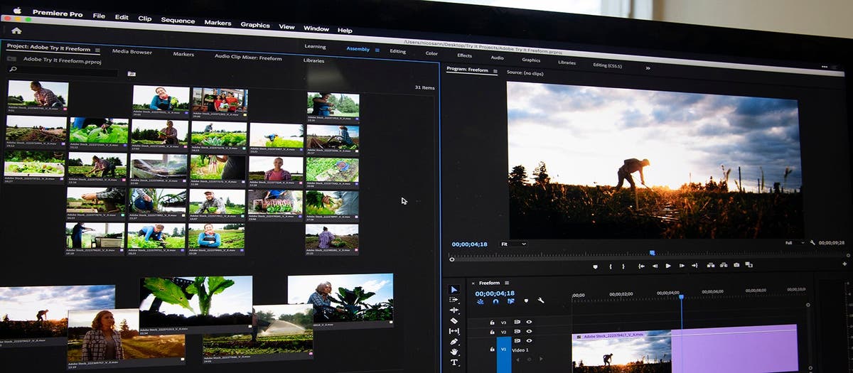 Explore the Freeform Project Panel in Premiere Pro