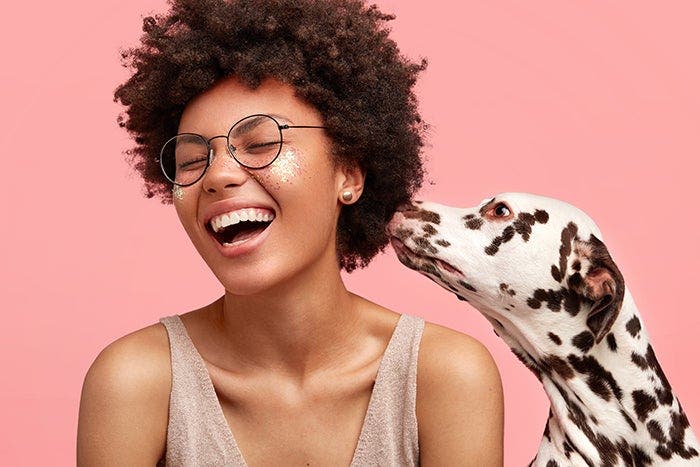 Dalmation sniffs woman's hair.