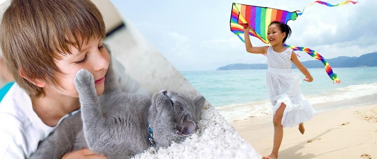 Introducing Adobe Photoshop Elements 2020 & Premiere Elements 2020
