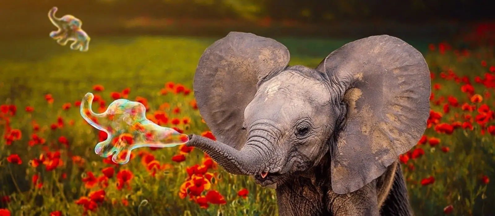 Elephant in flower patch