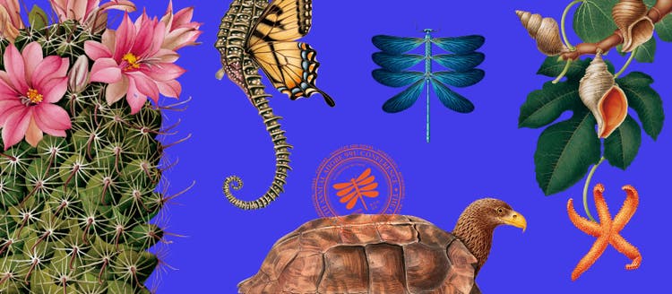 Promo banner for Adobe's virtual, 99U Conference 2020.