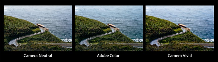 Most common camera modes - How to use them - Adobe