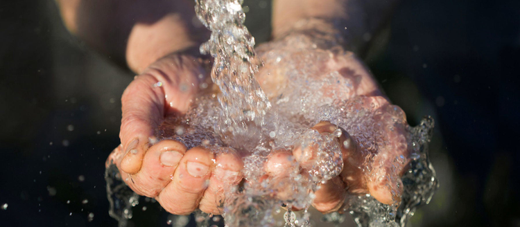 hands washing with water pouring from a tap