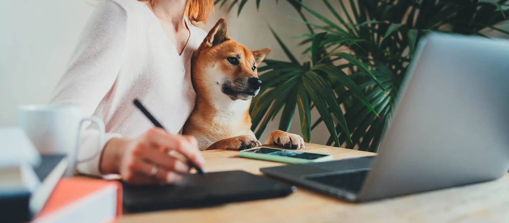 Woman with dog working