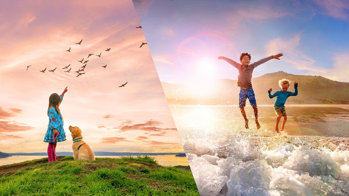 Introducing Adobe Photoshop Elements 2021 & Premiere Elements