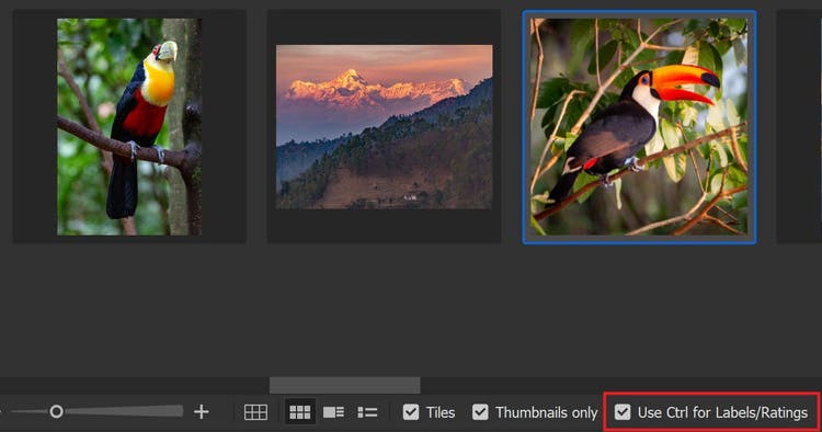 The radio button for enabling labels/ratings via ctrl keyboard shortcut in Adobe Bridge is toggled on.