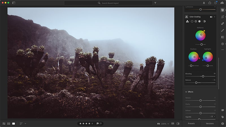 Графический редактор - Adobe Photoshop Lightroom Classic 10.0.0.10 RePack by Poo
