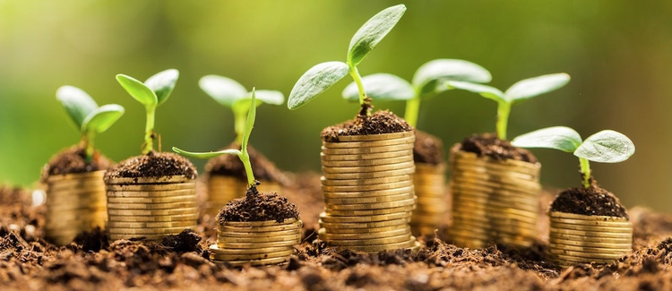 Imagery of coins growing.
