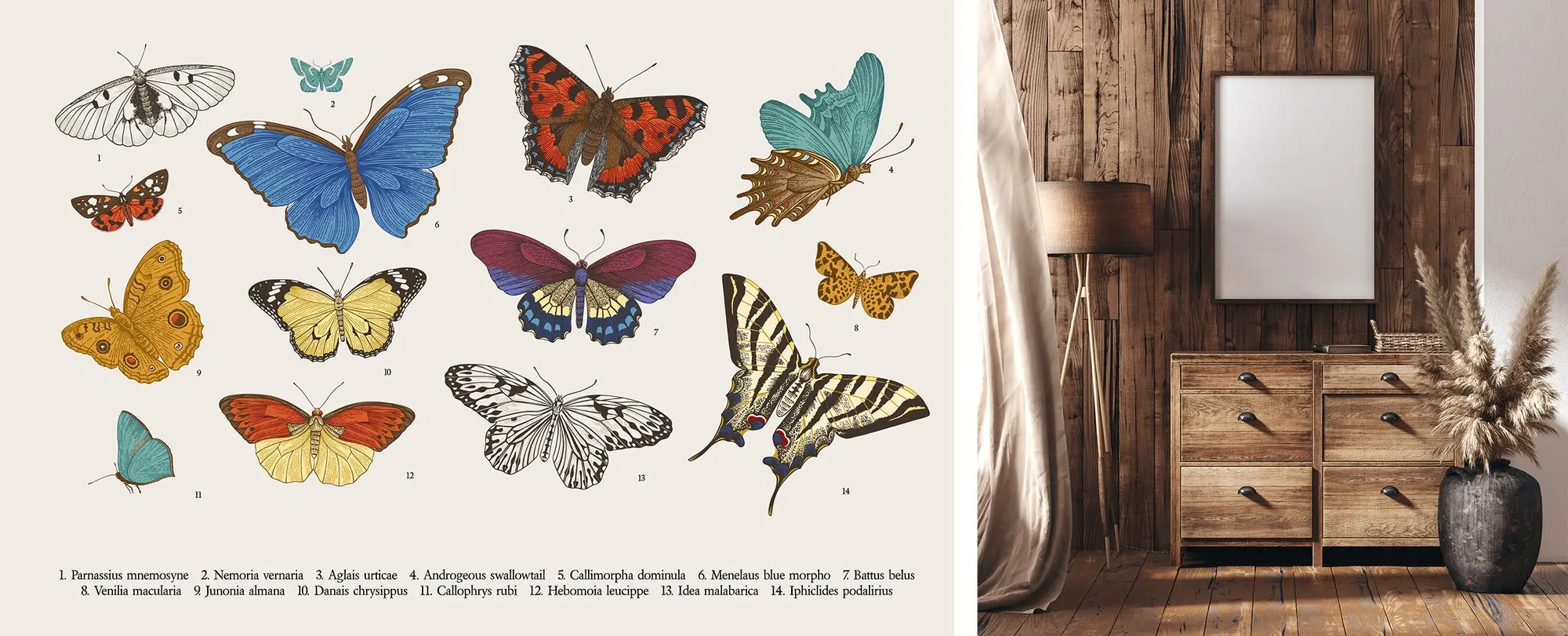 Labeled scientific illustration of butterlies next to 3D render of lamp, frame, and nightstand against a wooden wall. 