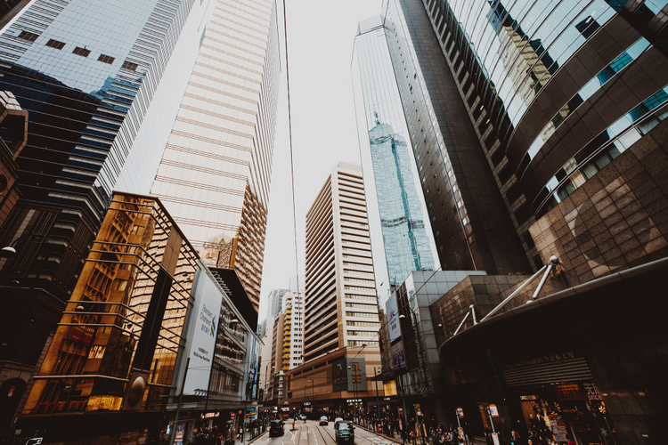 Buildings in the city