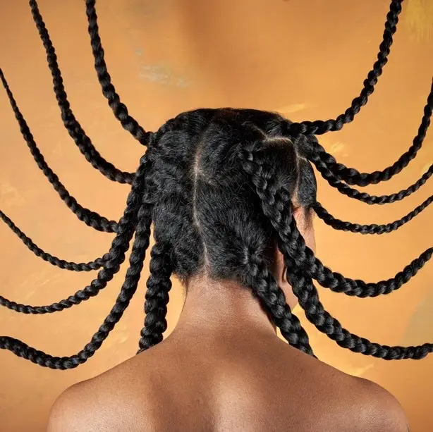 Photo of the back of a head with many braids spanning out like rays.