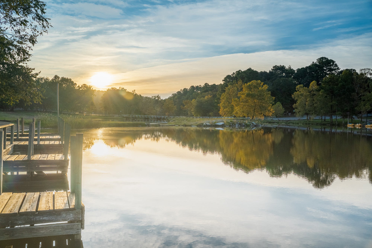 Beautiful outdoor scene by a lake.