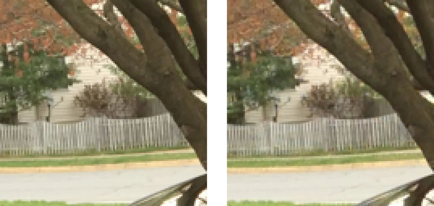 2 of the same images of trees but the left has the ground truth and the right one is fully trained model.